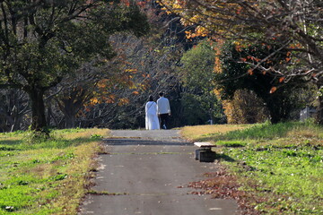秋の公園を散歩するカップル