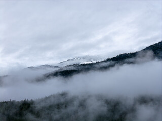 Foggy Mountain Ridge Above Cloudy Forest in BC, Canada, Surrounded by Mist and Snow