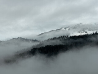 Misty Snow-Capped Mountain Range Shrouded in Fog Over Pine Forest