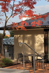 紅葉のある風景