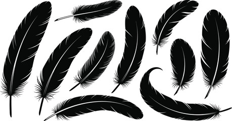 Collection of various black feather silhouettes vector set, featuring different sizes and shapes for design, freedom, lightness, angel wings, native American, and writing concepts on white. © Vector World
