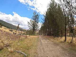 country road in the mountains