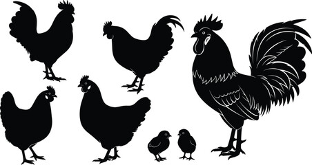 Farm Chicken Silhouettes Vector Illustration Set, Rooster, Hens, and Chicks Outline, Poultry Birds, Agriculture, Livestock Farming, and Animal Husbandry Graphic Element, Black and White, Isolated.