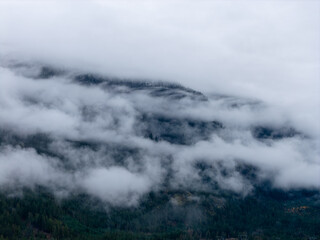 Foggy Mountain Peak Hidden by Clouds Over Dense Evergreen Forest in British Columbia, Canada