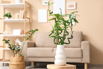 Vase with bamboo stems on coffee table in living room, closeup