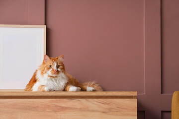 Cute fluffy cat with blank frame lying on chest of drawers near brown wall