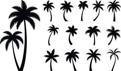 Tropical palm tree silhouette collection with diverse frond styles, curved trunks, exotic shapes for summer, beach, jungle, and paradise themes