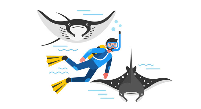 Diver Observing Marine Creatures In The Ocean Depths With Oceanic Rays