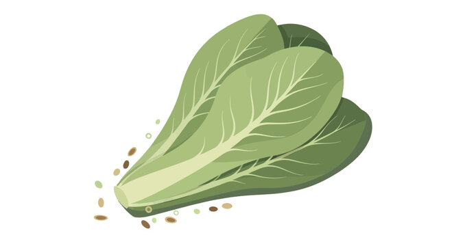 Fresh Bok Choy Displayed With Seeds Against A Black Background Design Artwork