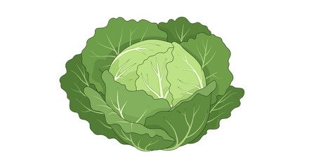 Fototapeta premium Fresh Green Cabbage Cartoon Illustration Against Black Background for Creative Use