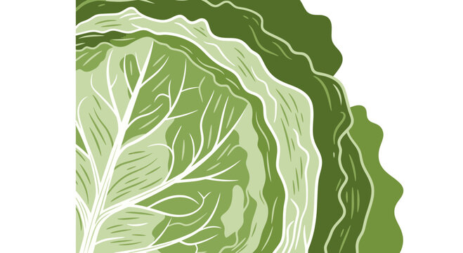 Fresh Green Leafy Vegetable Abstract Illustration Against a Black Backdrop Design