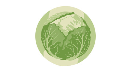 Fresh Illustrative Round Cabbage Depiction Over Black Background Perfect For Healthy Eating