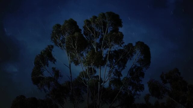 Dramatic Lightning Storm Over Trees with Heavy Rain at Night