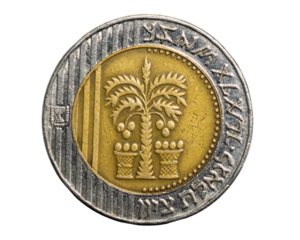 Israeli 10 Shekels coins isolated on white background