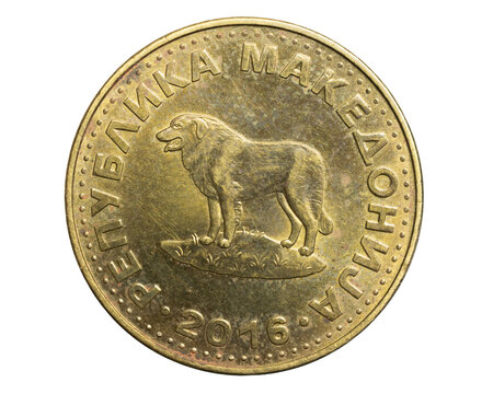 one macedonian denar coin  isolated on white background