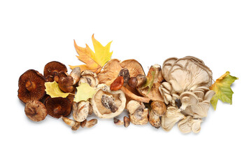 Different fresh mushrooms with autumn leaves on white background