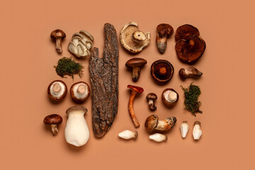 Different fresh mushrooms with moss and tree bark on brown background
