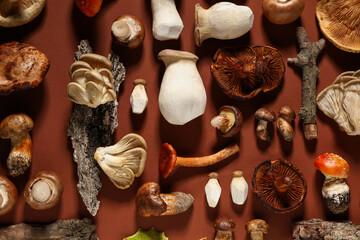 Different fresh mushrooms with tree bark on brown background