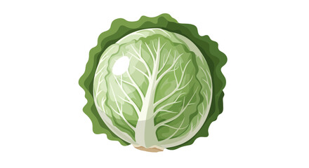 Fototapeta premium Freshly Picked Cabbage Isolated Against a Black Backdrop Illustration Vector