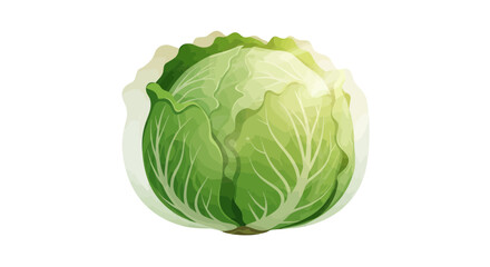 Fototapeta premium Freshly Picked Cabbage Isolated Against a Vivid Black Backdrop for Healthy Eating