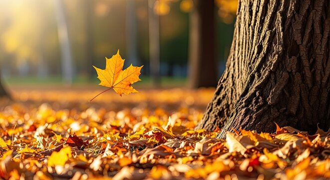 Autumn scene with a floating maple leaf and fallen leaves on the ground