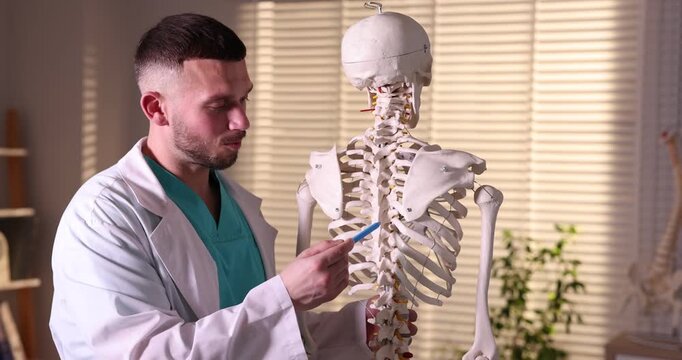 Doctor showing human skeleton model in hospital, closeup