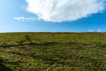 green field and blue sky