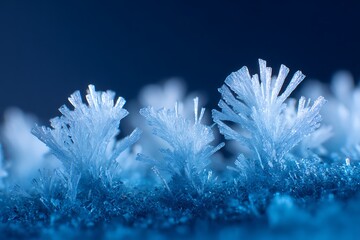 Fungal hyphae are distributed on crystalline snow crystals, looking strikingly like in a microbiology research image.