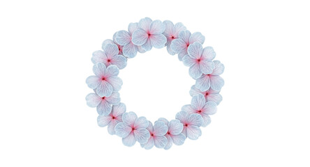 red beads isolated on white background