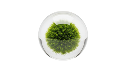 A small, vibrant green moss ball is perfectly encapsulated inside a clear, glossy glass sphere, symbolizing nature preservation, ecology, and environmental protection concepts