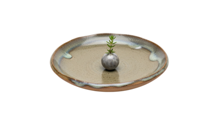 A minimalist composition of a handmade ceramic plate with a small spherical vase holding a single green sprig, showcasing wabi-sabi aesthetics and serene simplicity