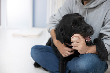 ガジガジかじる、噛む大型犬　かみかみ欲求の解消