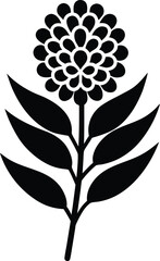 Elegant wattle flower logo design with natural colors