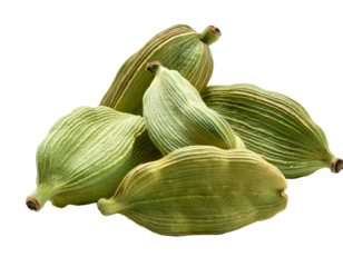 Fresh cardamom pods isolated on white background.
