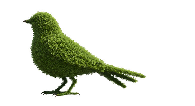 bird topiary sculpture