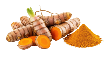 Fresh turmeric roots and ground turmeric powder isolated PNG with Transparent Background