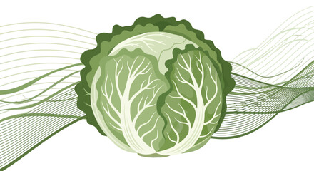 Vibrant Cabbage Illustration with Organic Lines Overlays and a Sleek, Dark Backdrop