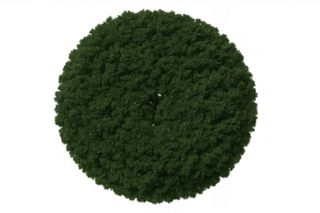 Green tree foliage from a top view, offering a natural element for design with a transparent background