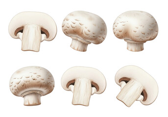 Fresh White Mushroom Assortment Close Up Group Fungi Fungal Vegetarian Food Natural Delicious Edible Ingredient Raw Cooking Market