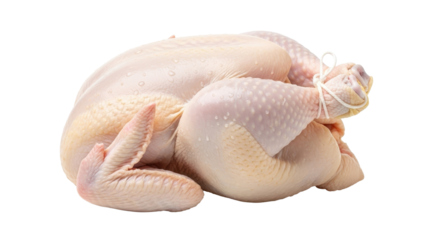Whole raw fresh chicken prepared and trussed for cooking isolated PNG with Transparent Background
