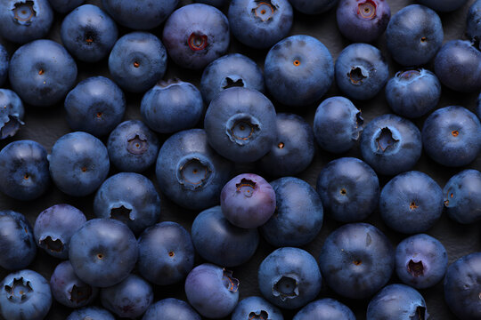 Close up overhead view of a pile of fresh ripe blueberries - Powered by Adobe