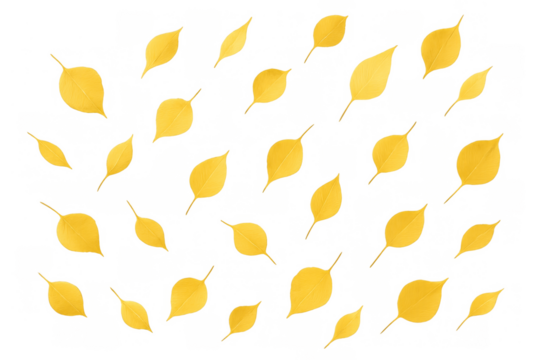 Yellow leaves falling creating an autumn pattern on a transparent background, depicting seasonal change