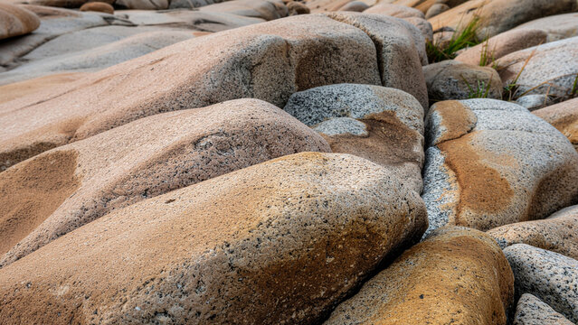 Brown stone wall texture and a natural pile of wood logs and rocks landscape