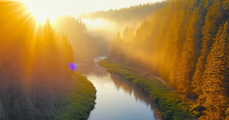 Golden sunrise rays illuminate peaceful forest river flowing between hills
