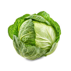 Fototapeta premium Cabbage heads or leaves boiled or steamed until tender, commonly served as a side dish. full length isolate on transparent background