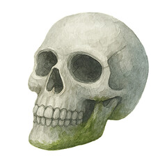 Obraz premium Watercolor Illustration of Aquarium Skull Decor