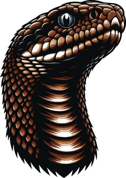 brown snake head portrait clip art preview