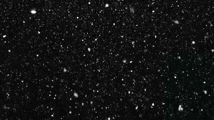Gentle Winter Snowfall in Deep Darkness
