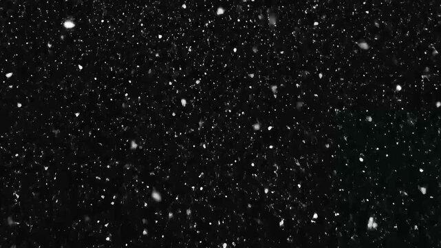 Gentle Winter Snowfall in Deep Darkness