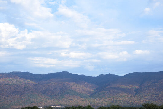 Burnt Mountain Landscape After Forest Fire in Jarilla Extremadura